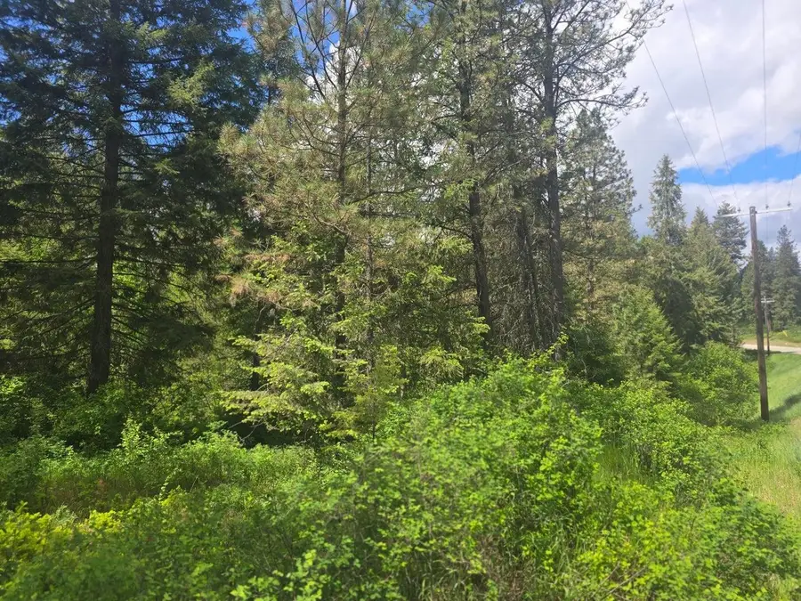 35xx Northport Flat Creek Rd, Kettle Falls, WA 99141-0000 - #2