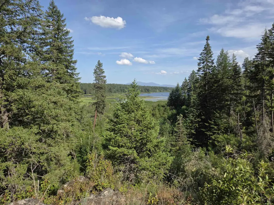 42800 N Hatch (unassigned Address) Rd, Deer Park, WA 99006 - #2