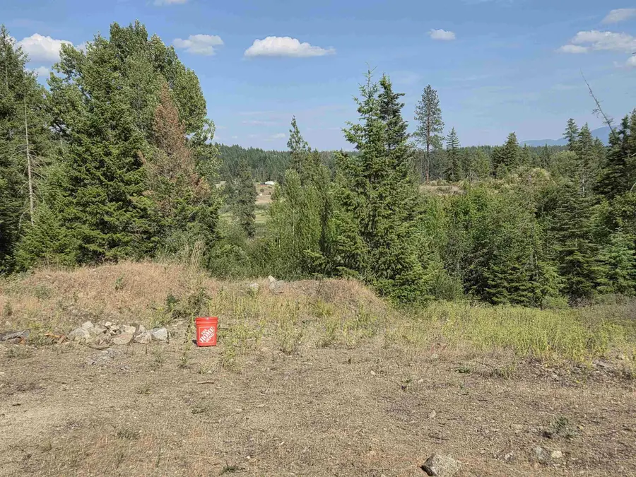42800 N Hatch (unassigned Address) Rd, Deer Park, WA 99006 - #3