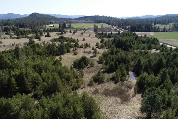 2040 Westside Kalispell Track B Rd, Usk, WA 99180
