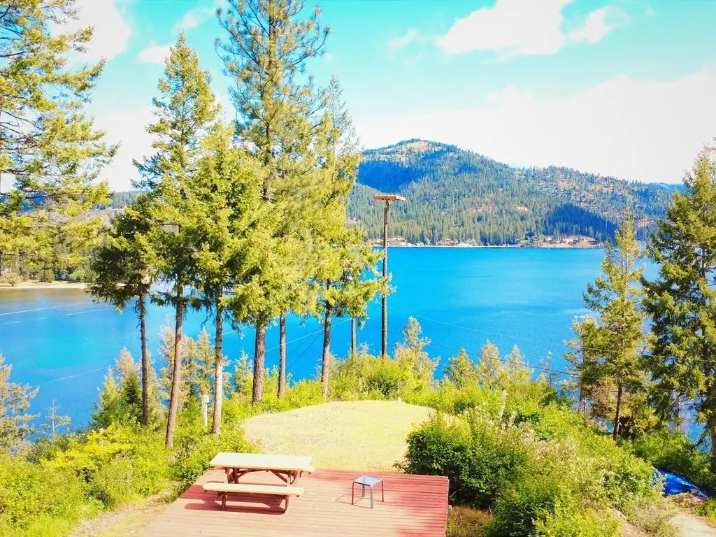 3904 E Pine Bay Rd, Loon Lake, WA 99148 - #1