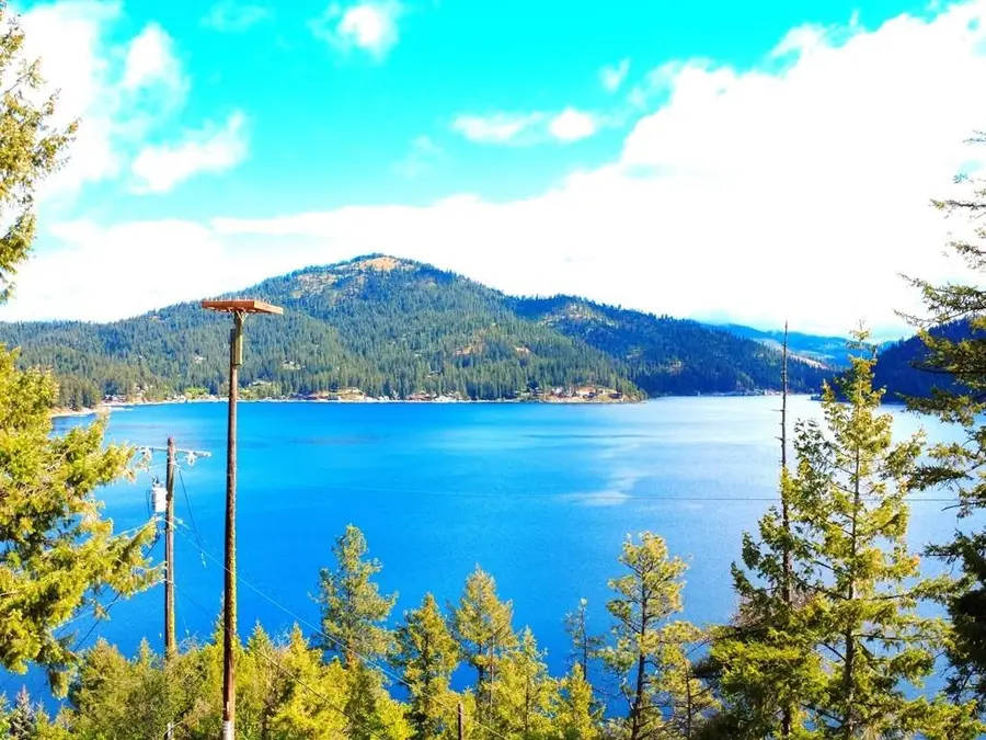 3904 E Pine Bay Rd, Loon Lake, WA 99148 - #2