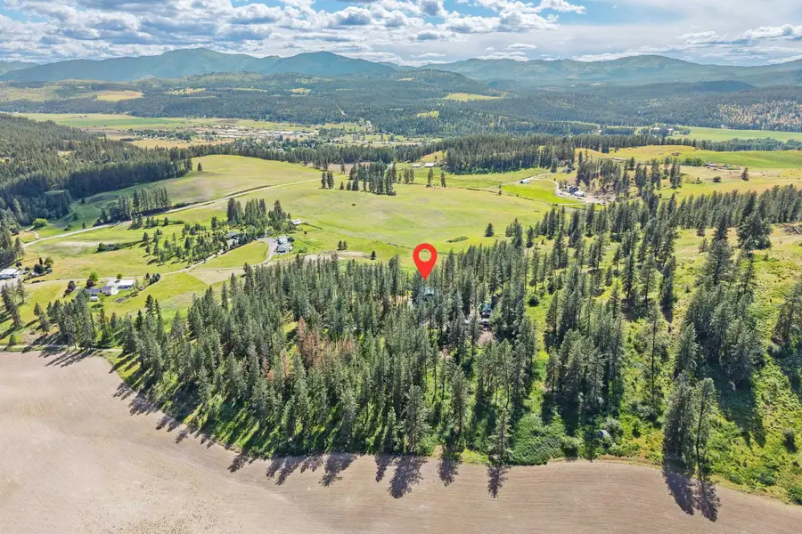 998 C Artman-gibson Rd, Colville, WA 99114 - #3