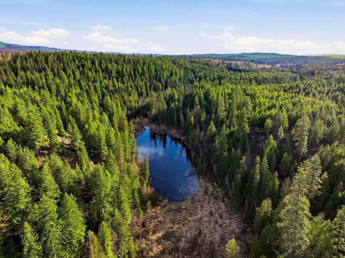 NNA Undisclosed Address, Elk, WA 99009 - #1