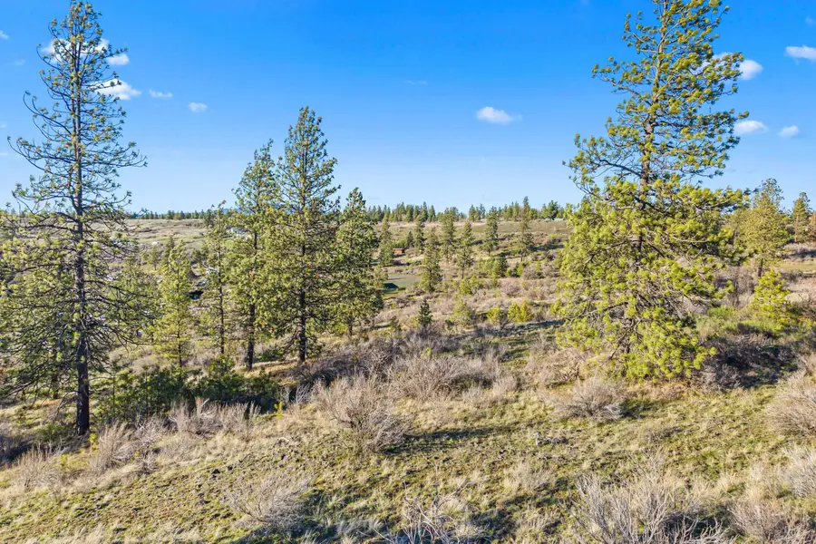 27220 E Underwood Canyon Rd, Creston, WA 99117 - #2