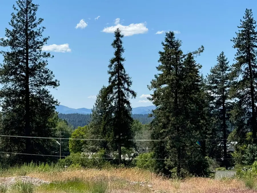 530 N A St, Springdale, WA 99173 - #3