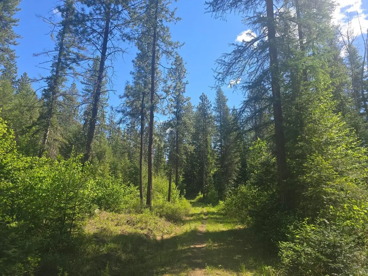 36XX Northport Flat Creek Rd, Kettle Falls, WA 99141-0000 - #1