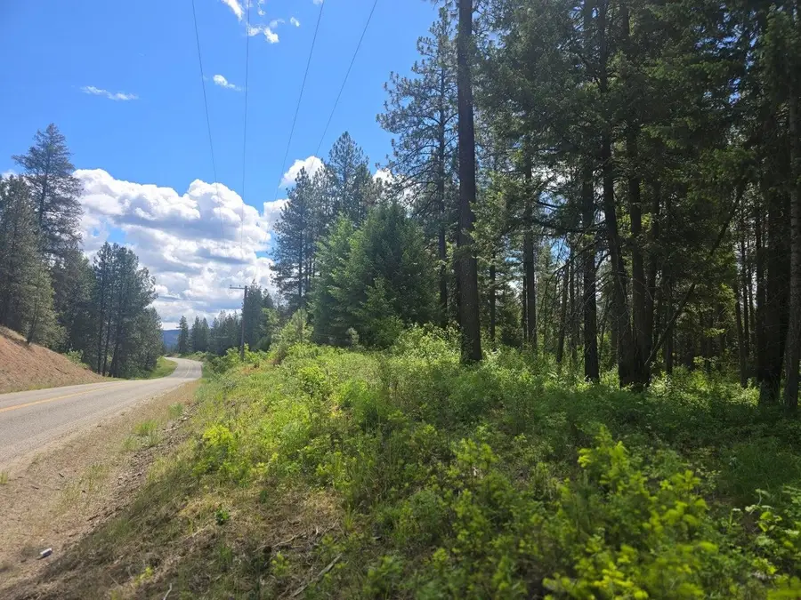 36XX Northport Flat Creek Rd, Kettle Falls, WA 99141-0000 - #2