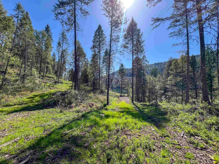 16-TBD Williams Lake Rd, Colville, WA 99114 - #3