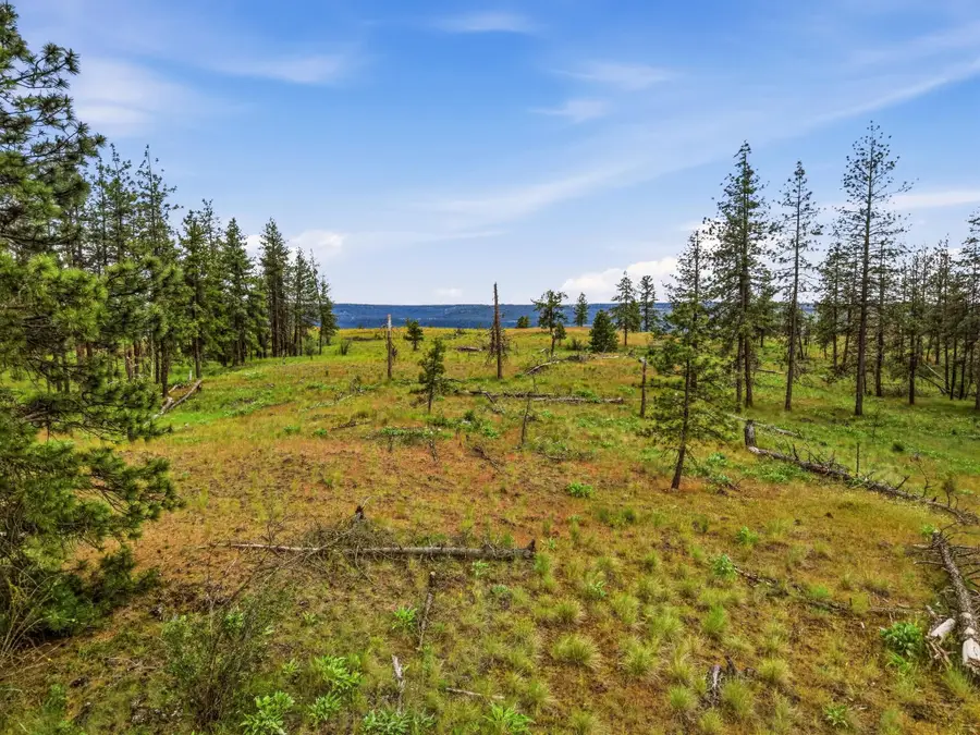 6582 Stony Way, Nine Mile Falls, WA 99026 - #2