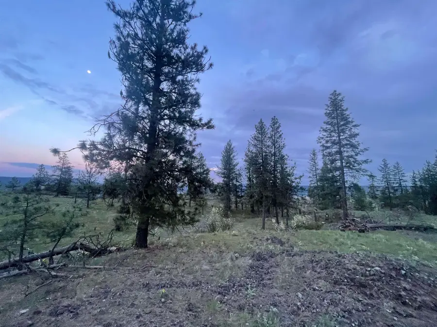 6582 Stony Way, Nine Mile Falls, WA 99026 - #3