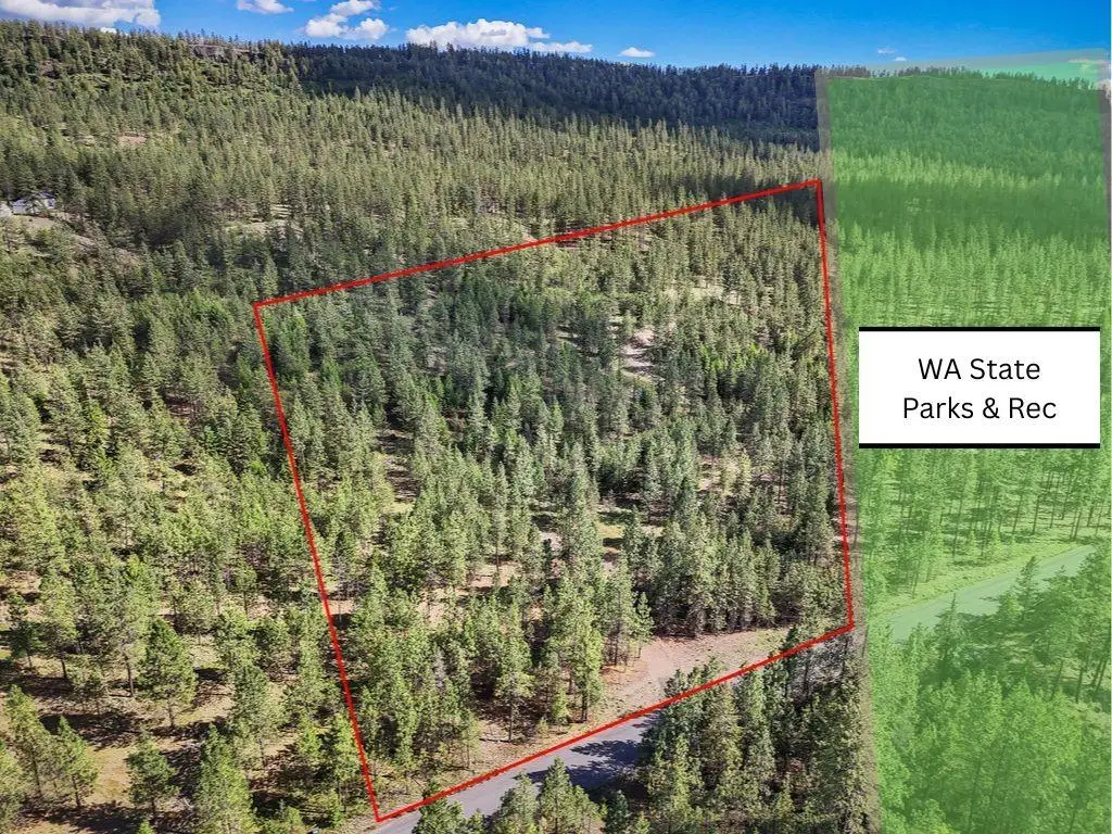 21XXX W South Bank Rd, Nine Mile Falls, WA 99026 - #1