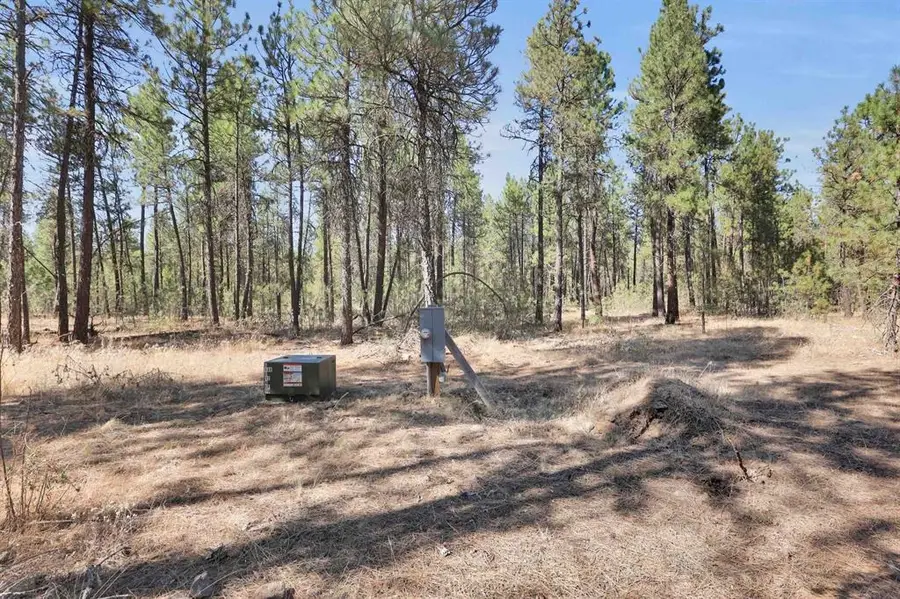 16619 S Sherman Rd, Cheney, WA 99004 - #2