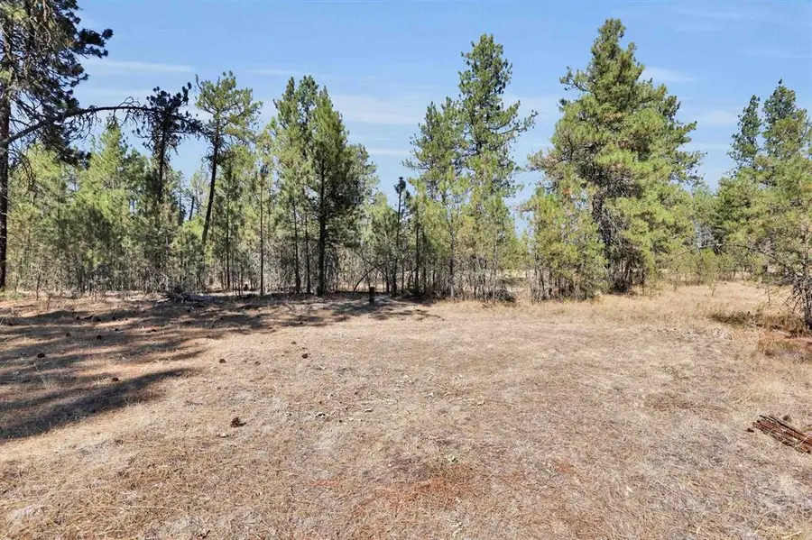 16619 S Sherman Rd, Cheney, WA 99004 - #3