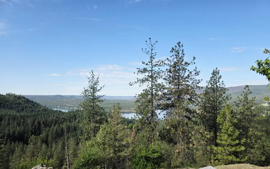 6821 Cummings Canyon Way, Nine Mile Falls, WA 99026 - #3