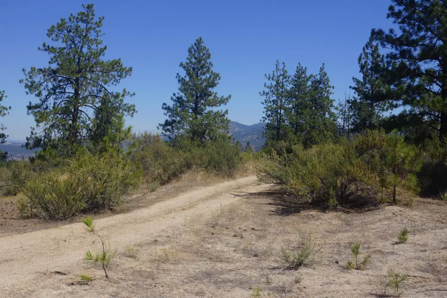 Lot 24 Timber Bay Dr, Davenport, WA 99122 - #3