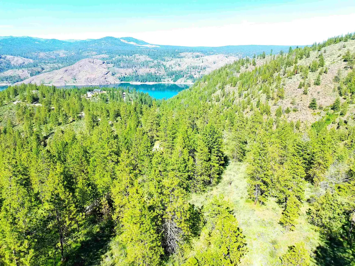 XX00 E Timber Bay Dr, Davenport, WA 99122 - #1