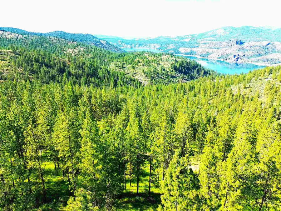 XX00 E Timber Bay Dr, Davenport, WA 99122 - #3