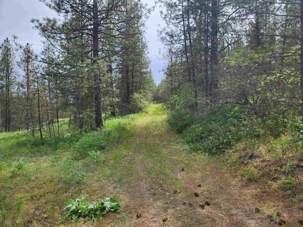 6269 Miller Mountain Rd, Fruitland, WA 99129 - #1