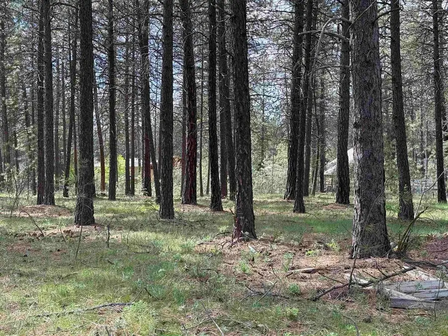 17XXX N Saddle Hill Rd, Colbert, WA 99005 - #2