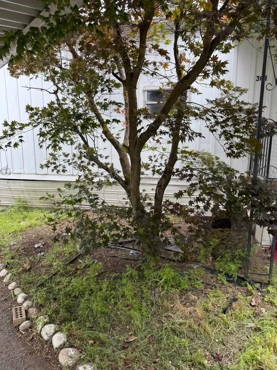 3231 W Boone Ave, Spokane, WA 99201 - #3