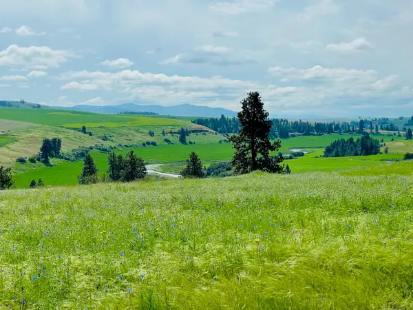 11900 Hays Rd, Spangle, WA 99031