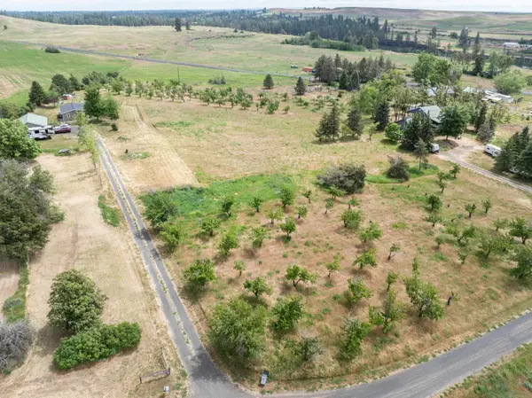 32917 S Williams Ave, Cheney, WA 99004