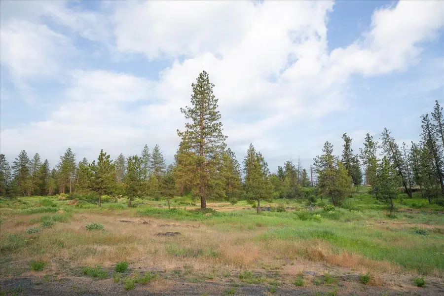 3741 W Grandview Ave, Spokane, WA 99224 - #2