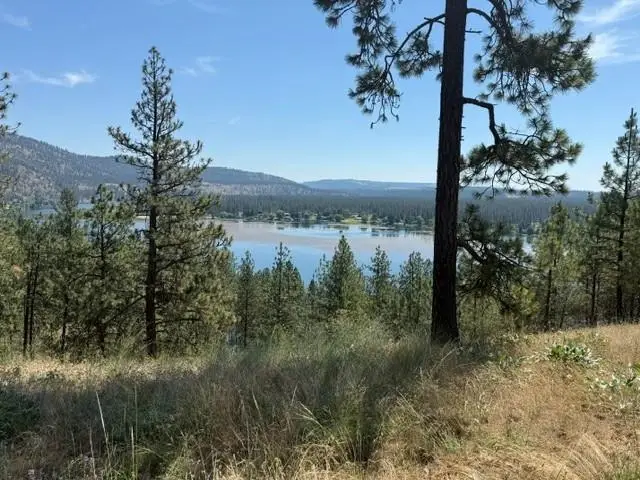 LOT 1 Long Lake Estates Way, Nine Mile Falls, WA 99026 - #1