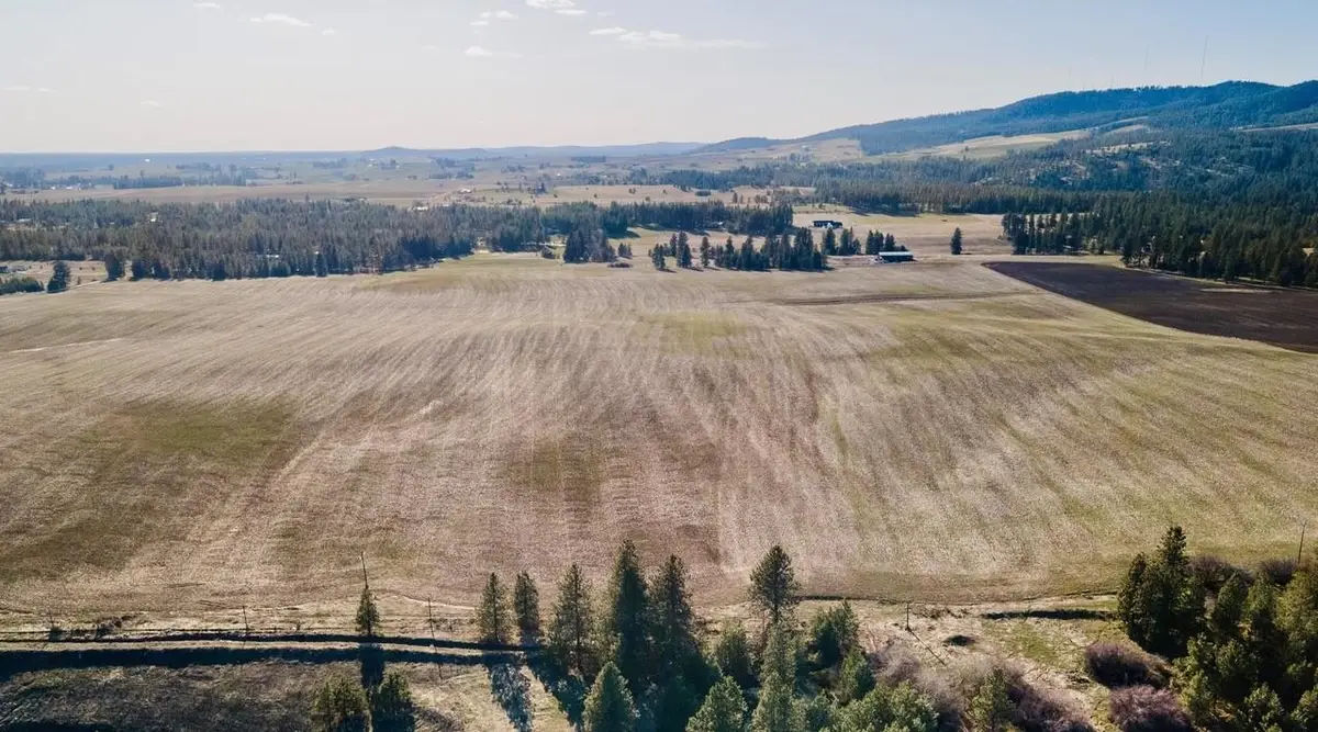 13507 E Gibbs Rd, Mica, WA 99023 - #1