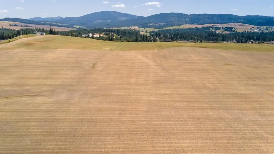 13507 E Gibbs Rd, Mica, WA 99023 - #2