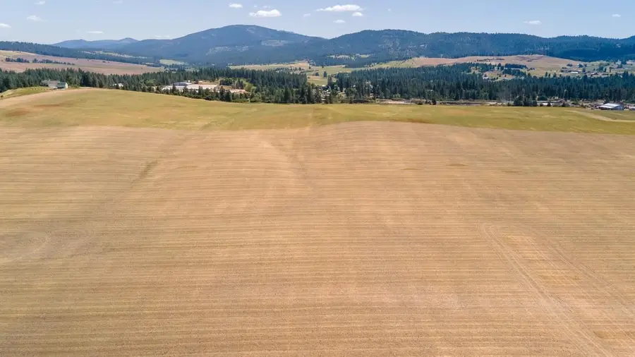 13507 E Gibbs Rd, Mica, WA 99023 - #3