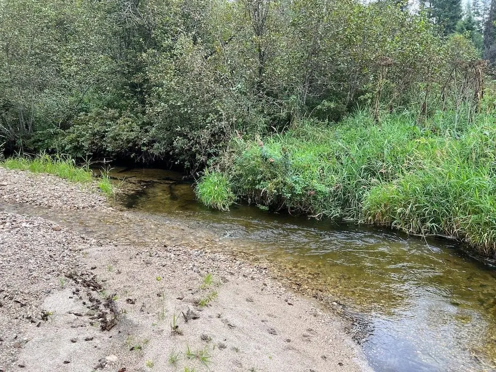 NKA Soggy Bottom Ln, Cusick, WA 99119 - #1