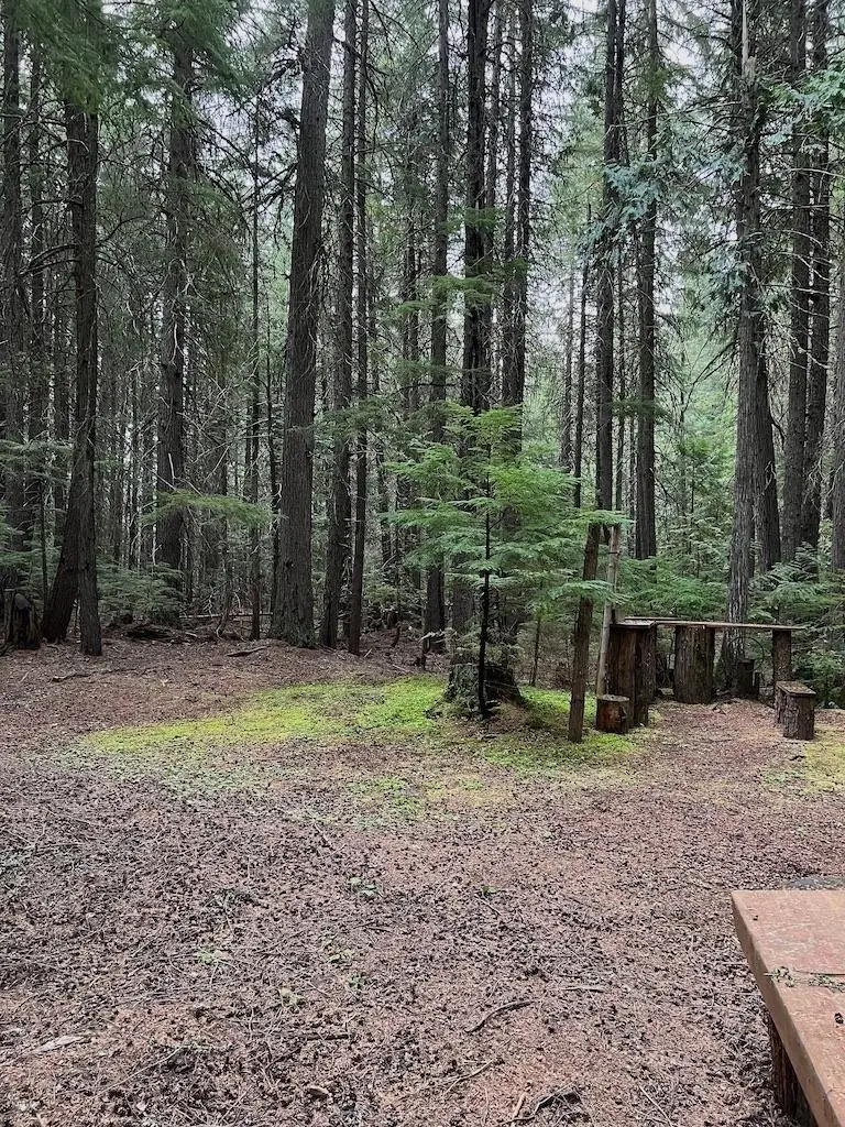 NKA Soggy Bottom Ln, Cusick, WA 99119 - #3