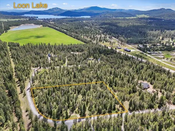 3804 Meadowlark Way, Loon Lake, WA 99148