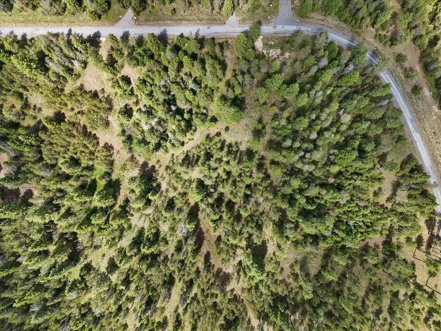 3804 Meadowlark Way, Loon Lake, WA 99148 - #2