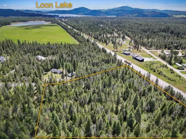 3834 Meadowlark Way, Loon Lake, WA 99148