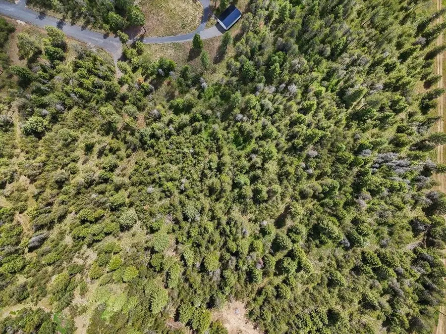 3834 Meadowlark Way, Loon Lake, WA 99148 - #2