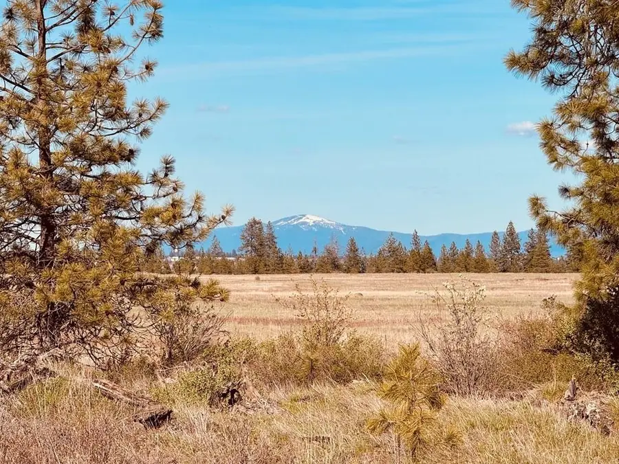 XX257 Hayford Rd, Spokane, WA 99224 - #3