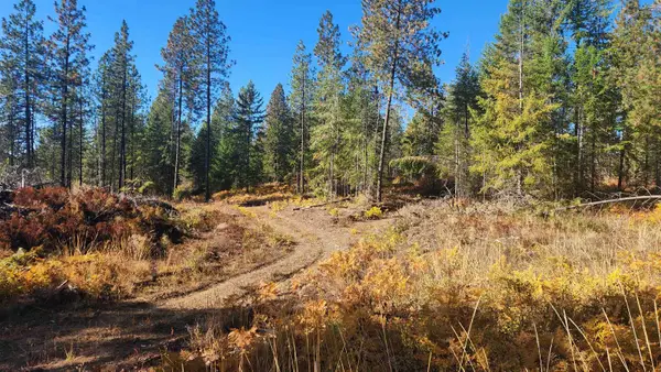 43xx Lyons Hill Rd, Springdale, WA 99173