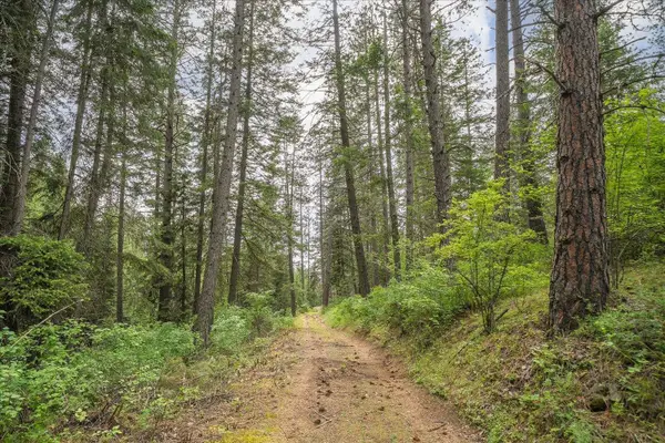 22XXX N Madison Rd, Mead, WA 99021
