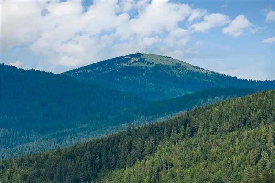 22XXX N Madison Rd, Mead, WA 99021 - #2
