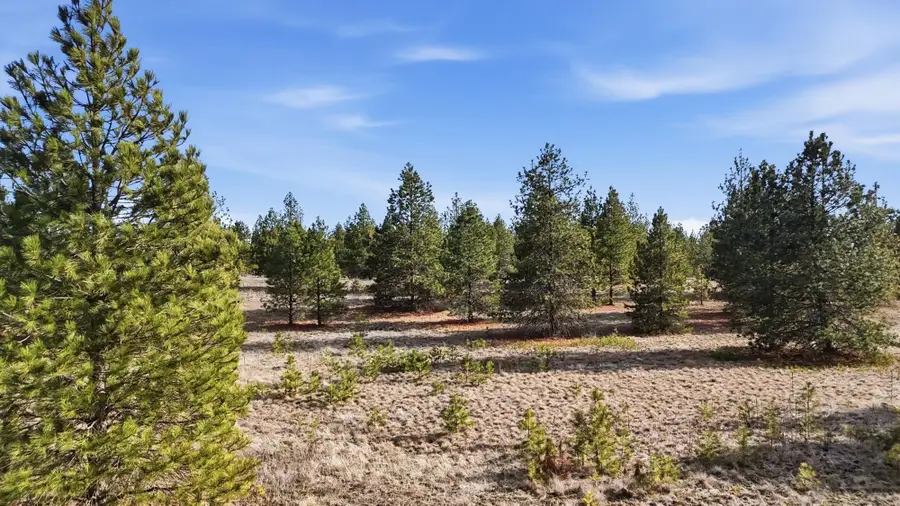00 N Dover Rd, Medical Lake, WA 99022 - #2