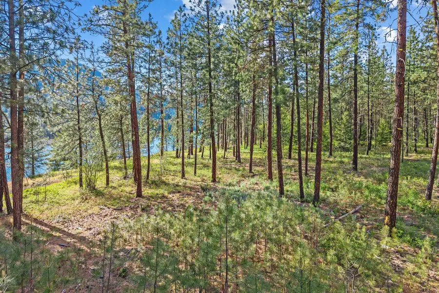 20XX Hofmeister Way, Evans, WA 99126 - #3