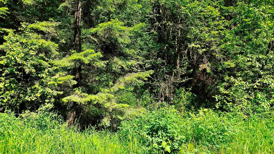NNA Mccloud Creek Rd, Newport, WA 99156 - #2