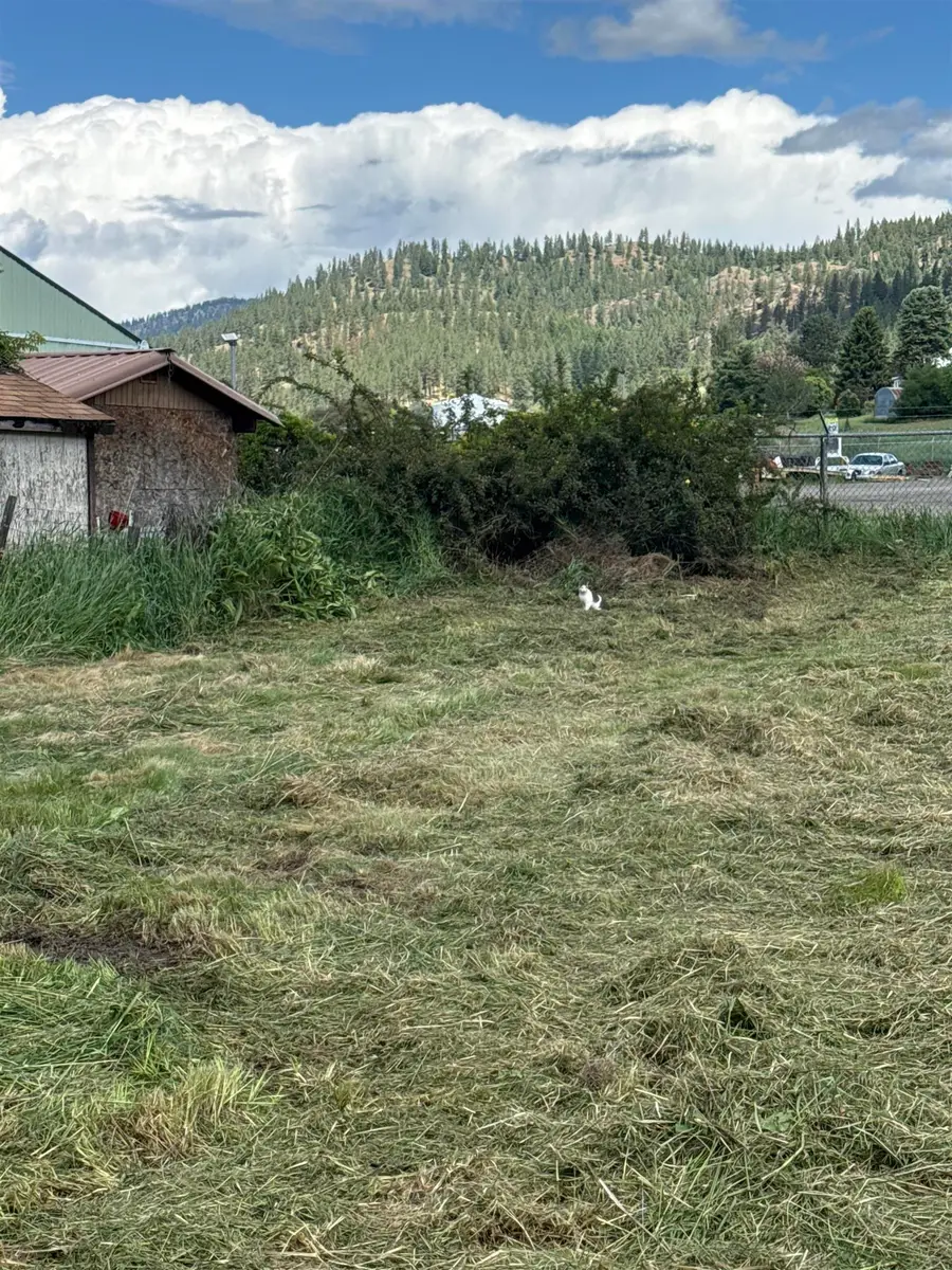474 W 9th St, Colville, WA 99114 - #3