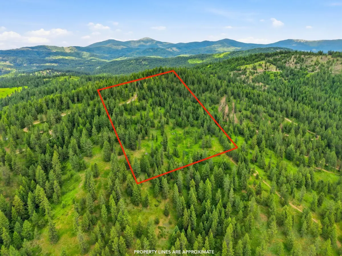 16301 N Scribner Branch Ln, Mount Spokane, WA 99217 - #1
