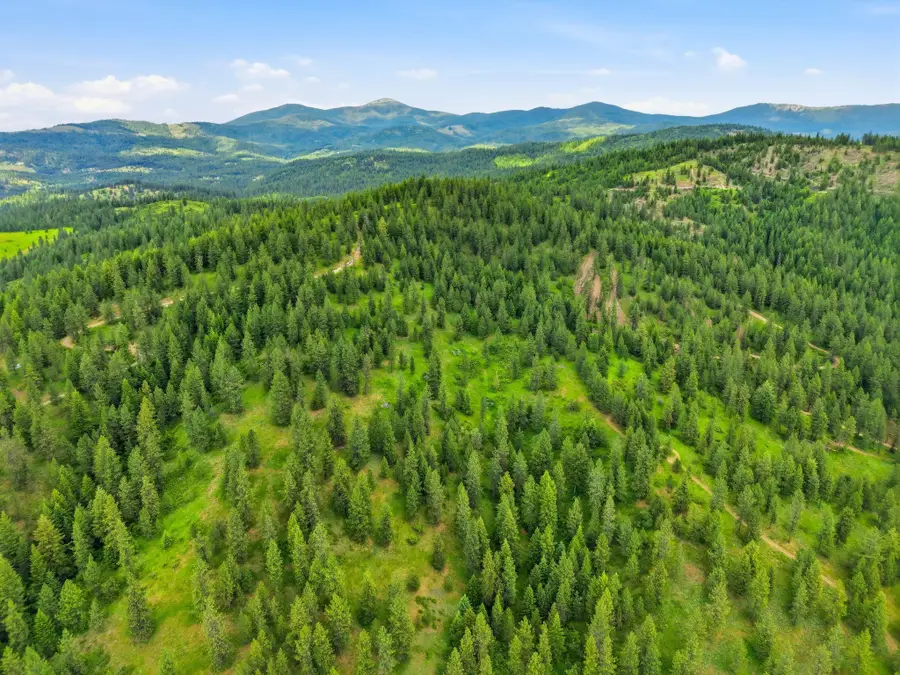 16301 N Scribner Branch Ln, Mount Spokane, WA 99217 - #2
