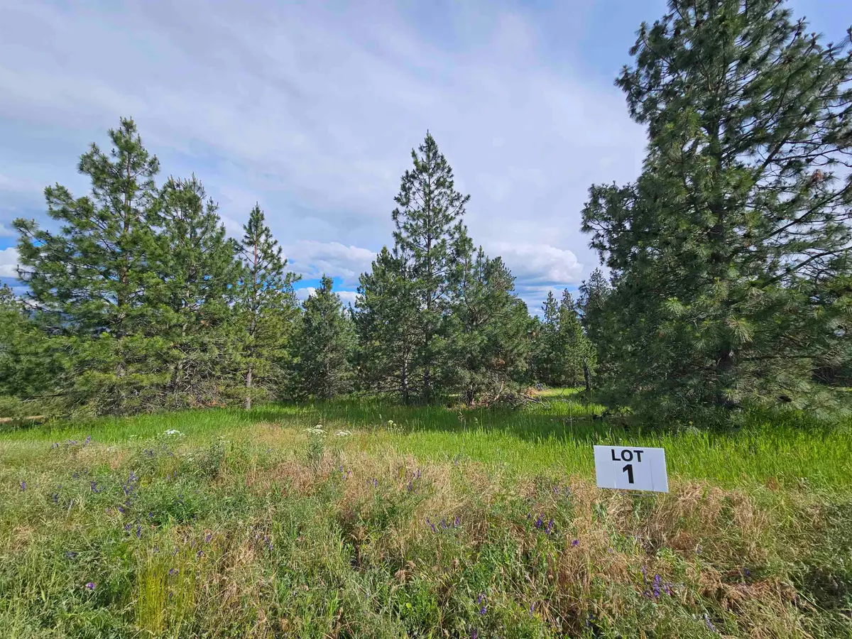 NNA S Sands Rd, Valleyford, WA 99036 - #1
