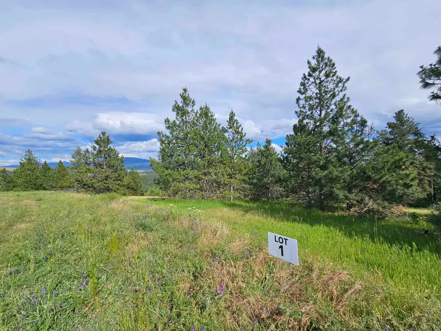 NNA S Sands Rd, Valleyford, WA 99036 - #2
